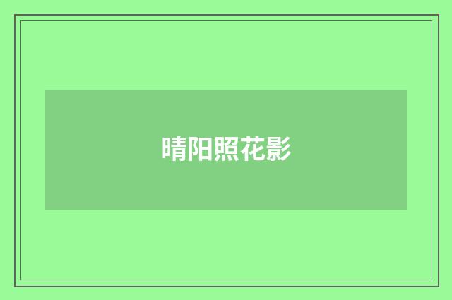 晴阳照花影