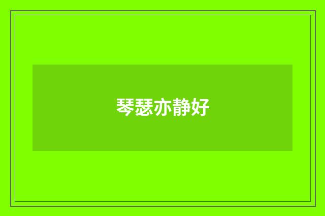 琴瑟亦静好