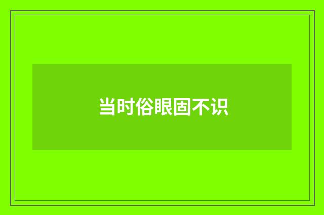 当时俗眼固不识