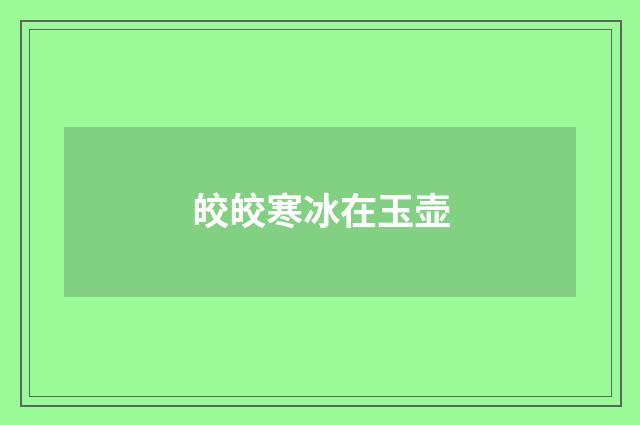 皎皎寒冰在玉壶