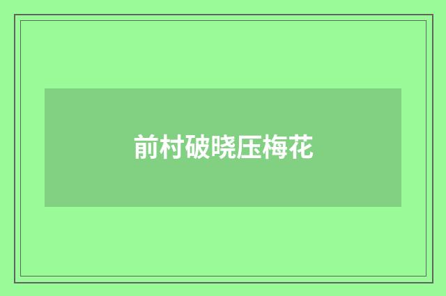 前村破晓压梅花
