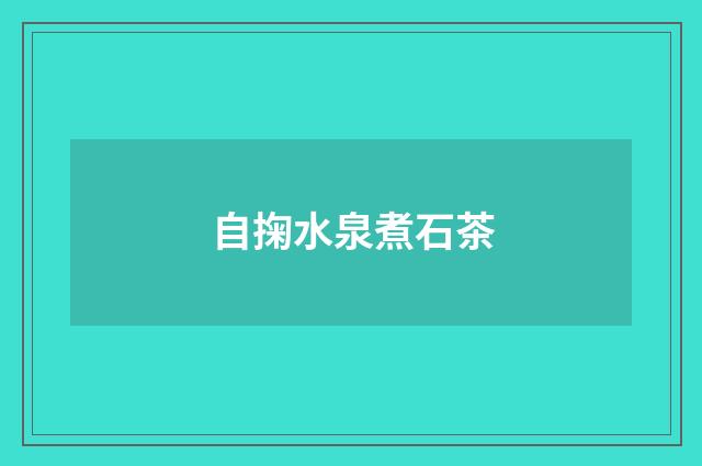 自掬水泉煮石茶