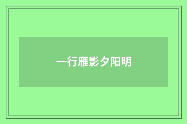 一行雁影夕阳明