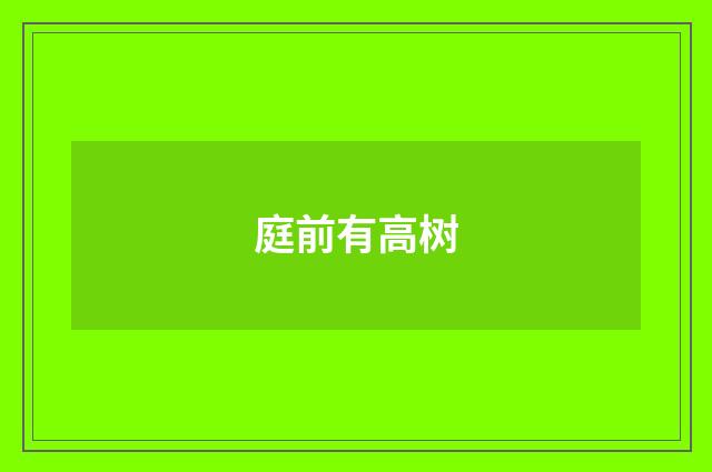 庭前有高树