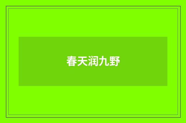 春天润九野