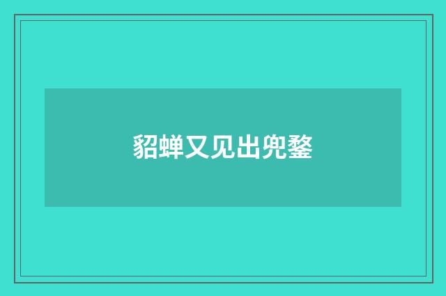 貂蝉又见出兜鍪