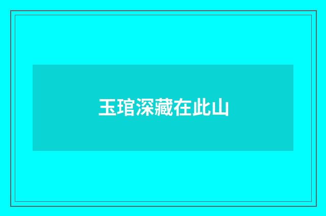 玉琯深藏在此山