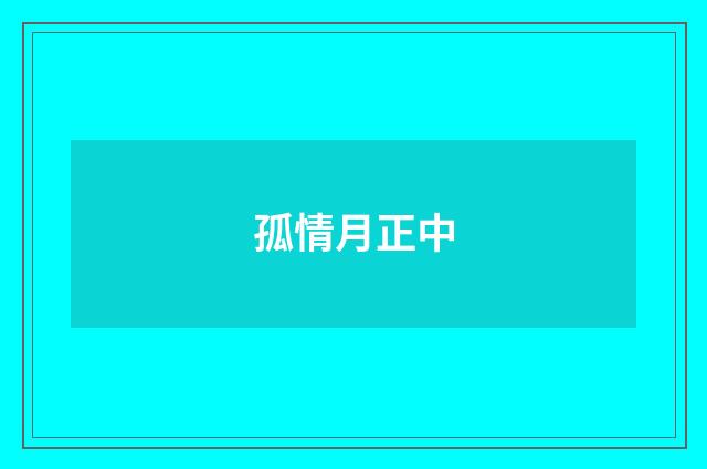 孤情月正中