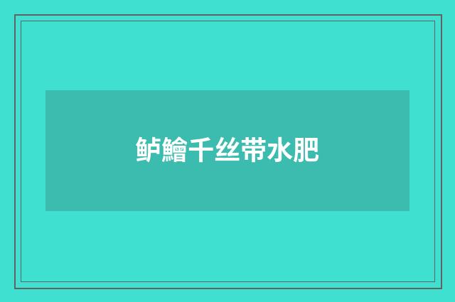 鲈鱠千丝带水肥