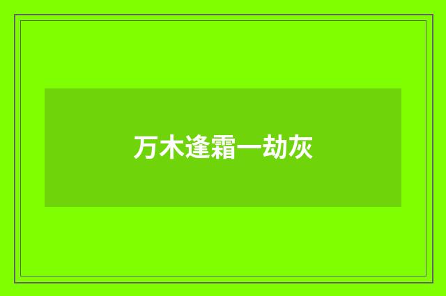 万木逢霜一劫灰