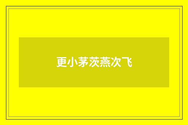 更小茅茨燕次飞