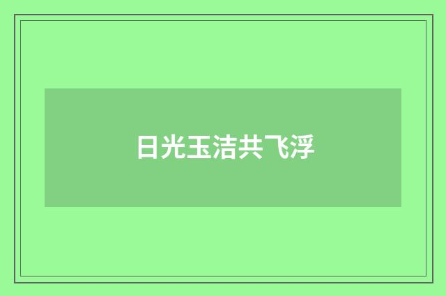 日光玉洁共飞浮