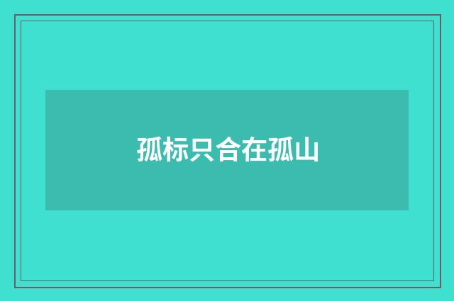 孤标只合在孤山