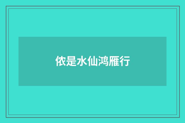 侬是水仙鸿雁行