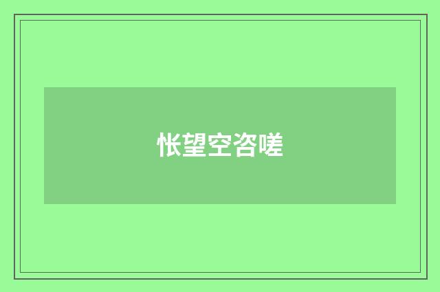 怅望空咨嗟