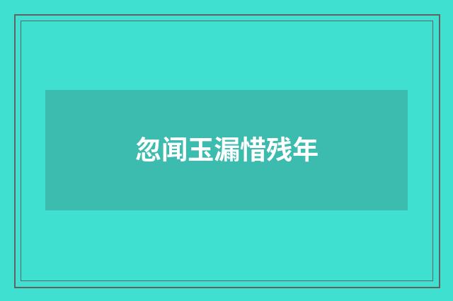 忽闻玉漏惜残年