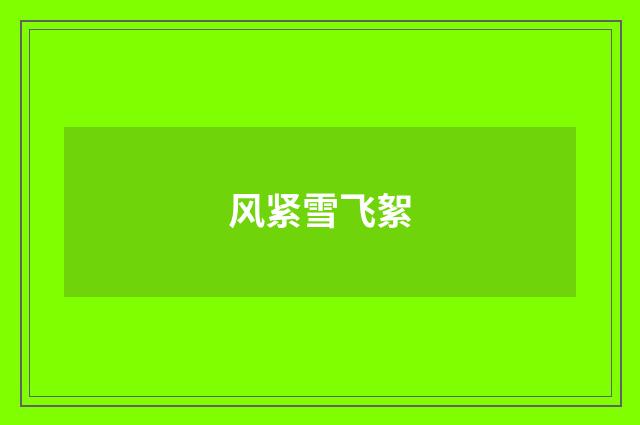 风紧雪飞絮