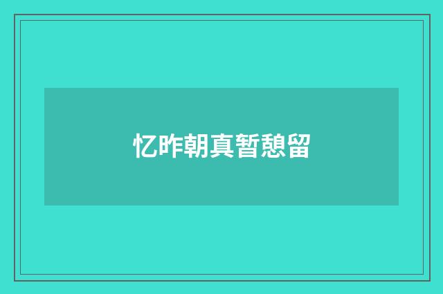 忆昨朝真暂憩留