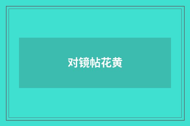 对镜帖花黄