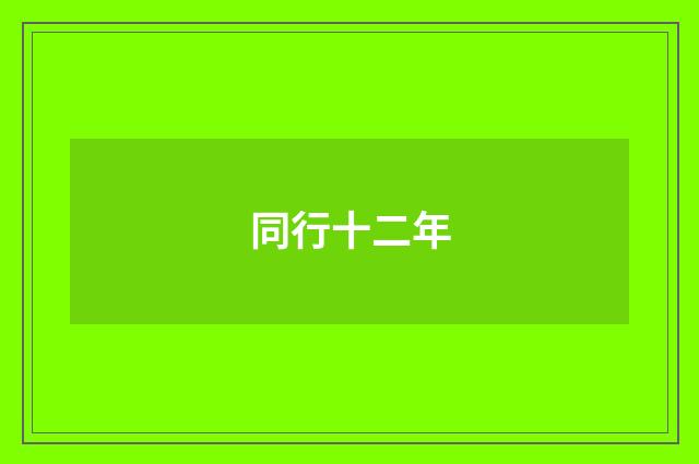 同行十二年