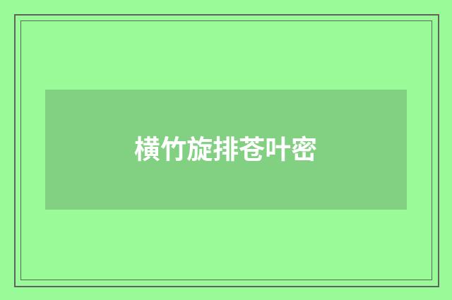 横竹旋排苍叶密