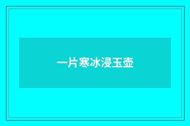 一片寒冰浸玉壶