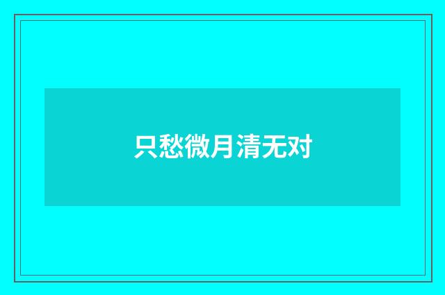 只愁微月清无对