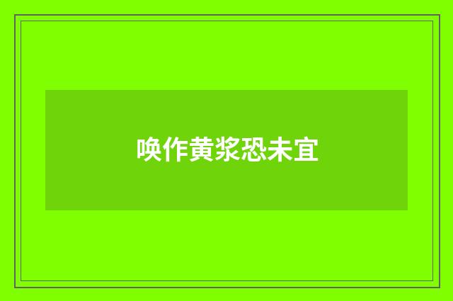 唤作黄浆恐未宜