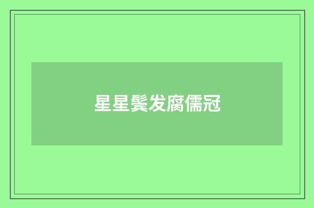 星星鬓发腐儒冠