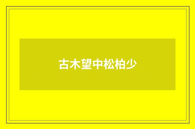 古木望中松柏少