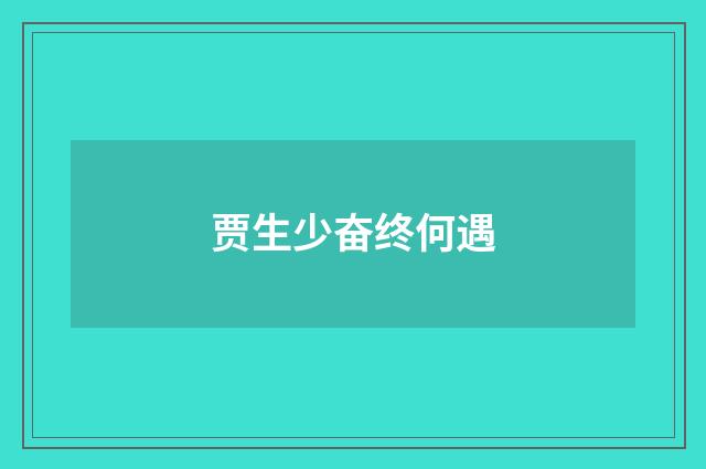 贾生少奋终何遇