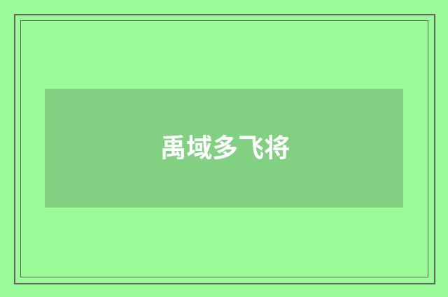 禹域多飞将