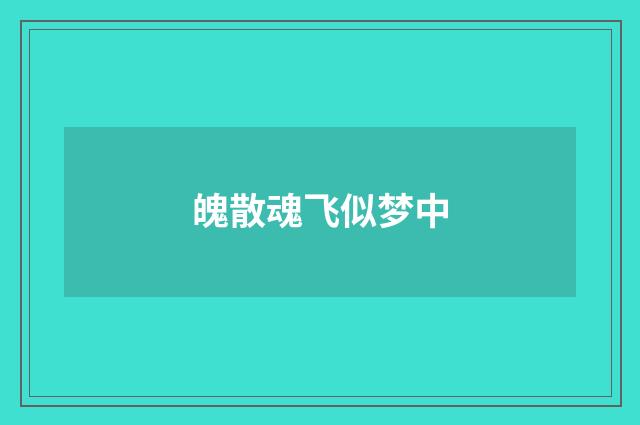 魄散魂飞似梦中