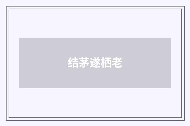结茅遂栖老