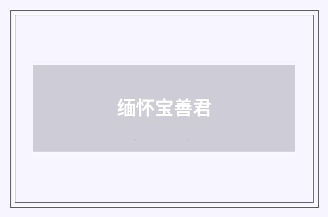 缅怀宝善君