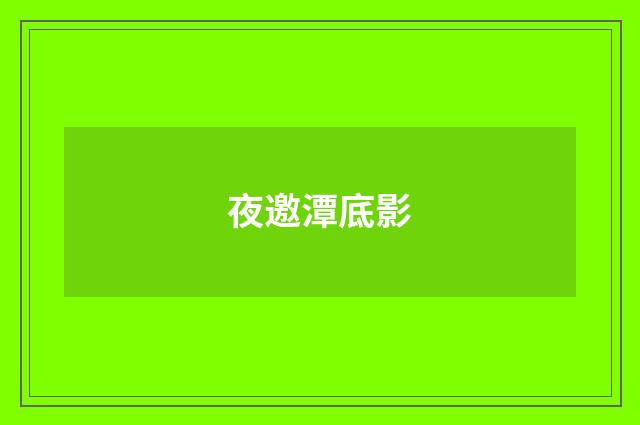 夜邀潭底影