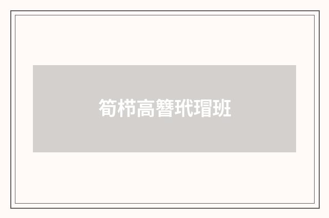 筍栉高簪玳瑁班