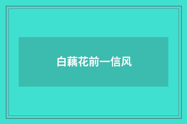 白藕花前一信风