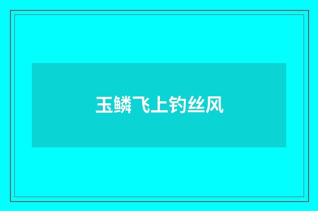 玉鳞飞上钓丝风