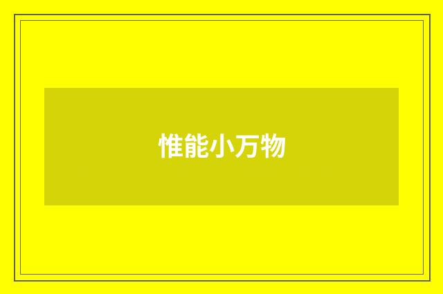 惟能小万物