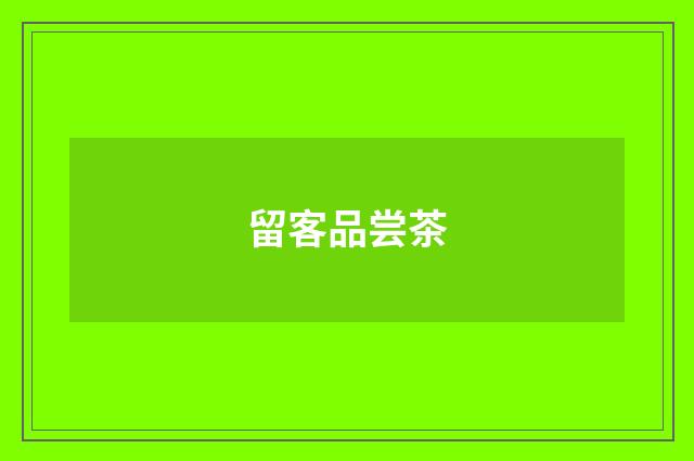 留客品尝茶