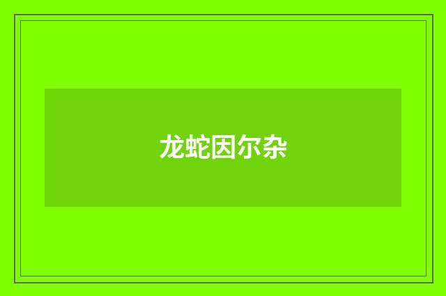龙蛇因尔杂
