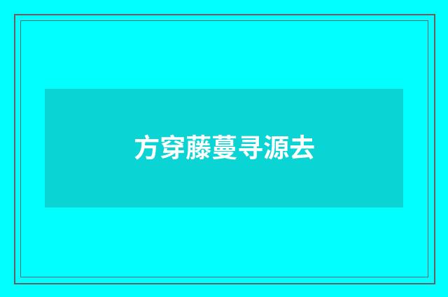 方穿藤蔓寻源去