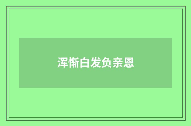 浑惭白发负亲恩