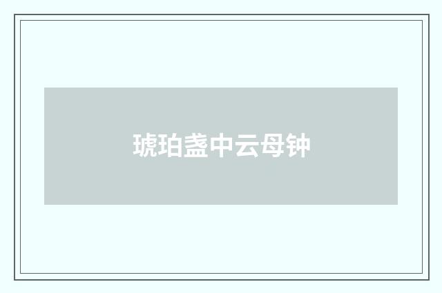 琥珀盏中云母钟