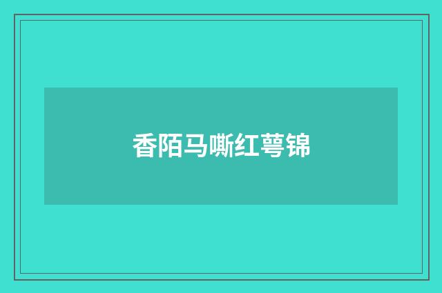 香陌马嘶红萼锦