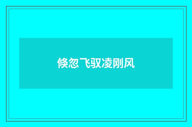 倏忽飞驭凌刚风