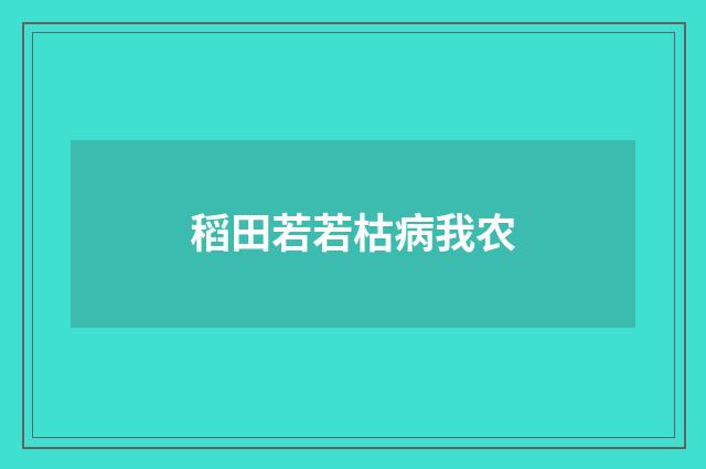 稻田若若枯病我农