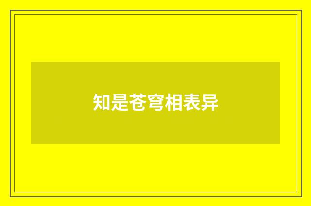 知是苍穹相表异