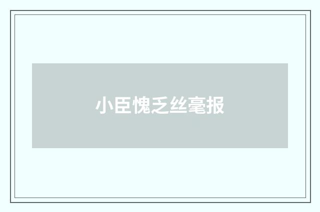 小臣愧乏丝毫报